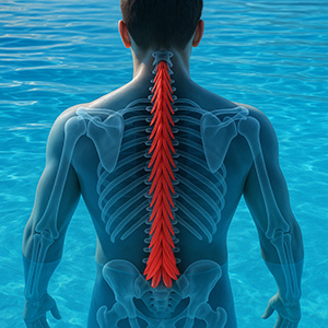 Dive Deep: How Aquatic Exercise and the Multifidus Muscle Can Transform Back Pain Relief