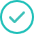Success Icon